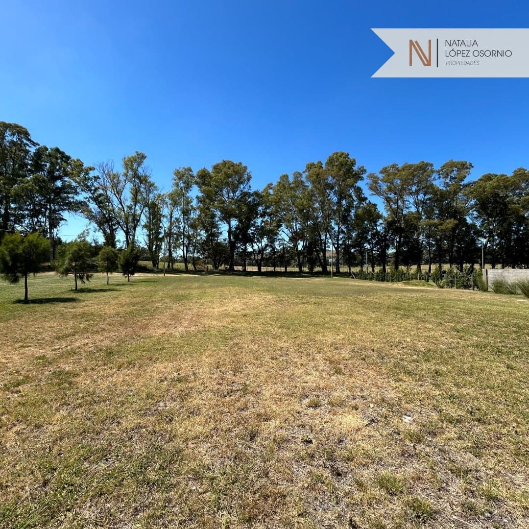 🌿 Increíble LOTE en Bella Vista  - 4