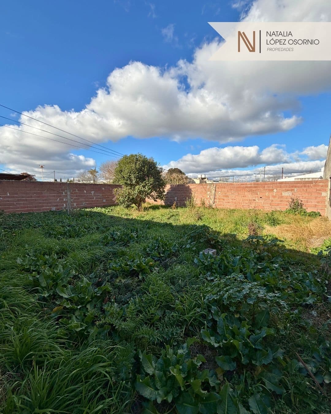 🏡 Casa en venta 2 dorm - V. Sarsfield y Av. Pellegrini - 17