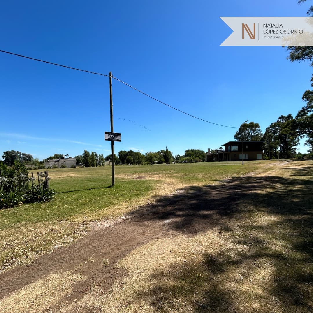 🌿 Increíble LOTE en Bella Vista  - 3