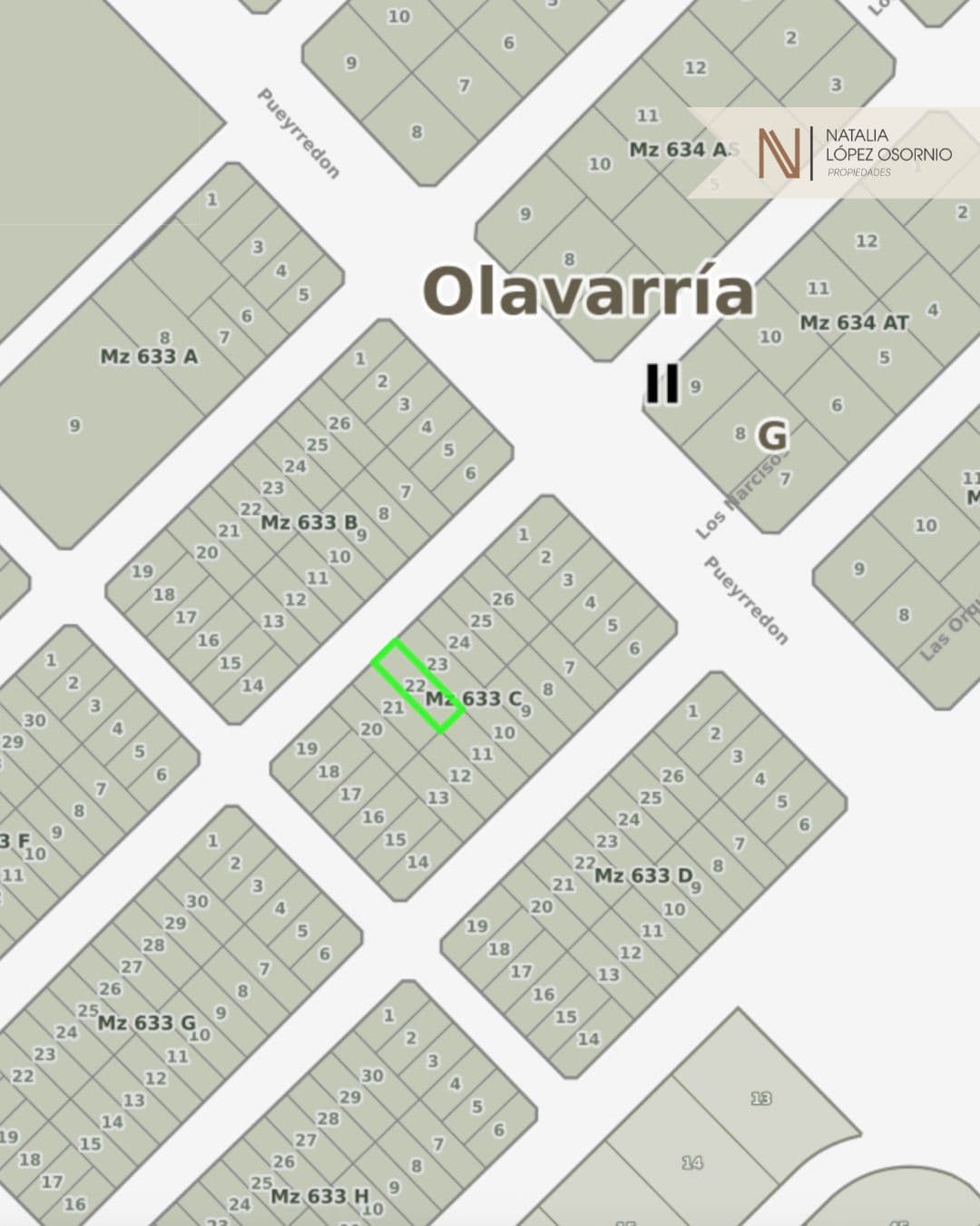 🪴Hermoso Lote en Los Jazmines y Av. Pueyrredón  - 2